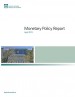 Monetary Policy Report - April 2013