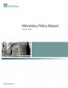Monetary Policy Report - January 2013