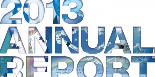 Annual Report cover 2013