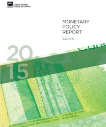 Monetary Policy Report - July 2015