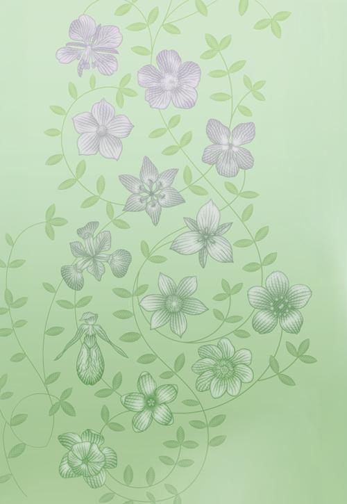 A close-up image of the thirteen unique flowers featured on the vertical $20 bank note. The flowers represent the floral emblems of every province and territory, and are all connected by winding stems and leaves.