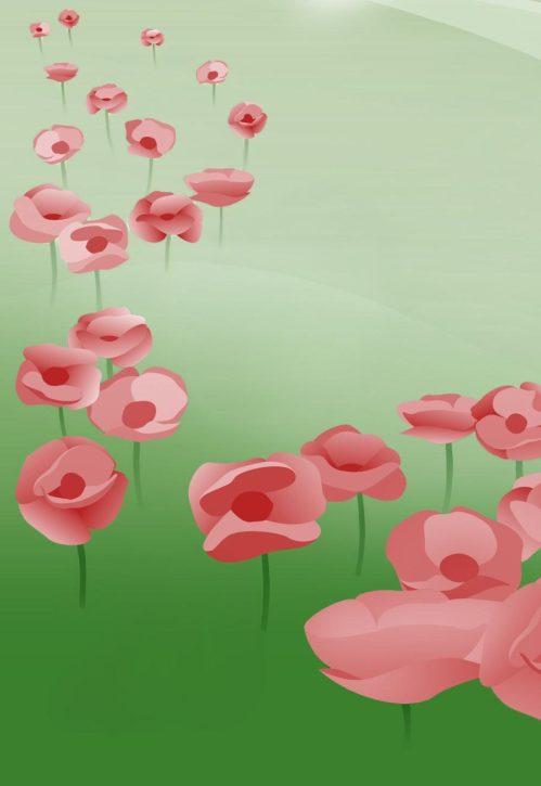 A close-up image of a smattering of poppies as pictured on the vertical $20 bank note.