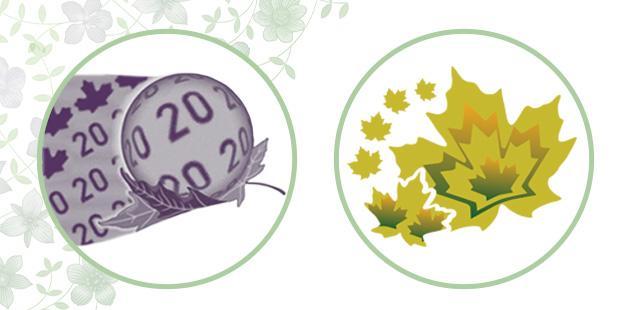 The bubble and colour-shifting maple leaf security features from the vertical $20 bank note Two circles containing close-up images of security features of the vertical $20 bank note. The first circle contains a close-up of security bubble, with magnified 20s inside of it. The second circle contains a close-up of the colour-shifting maple leaf security feature.
