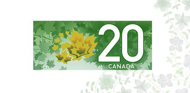 Accessibility features from the back side of the vertical $20 bank note A close-up of the top of the back side of the vertical $20 bank note. The close-up shows the large number 20, the colour-changing maple leaf security feature, the word Canada, and the tactile feature.